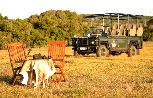 Olive Park Lodge - Temba Private Game Reserve